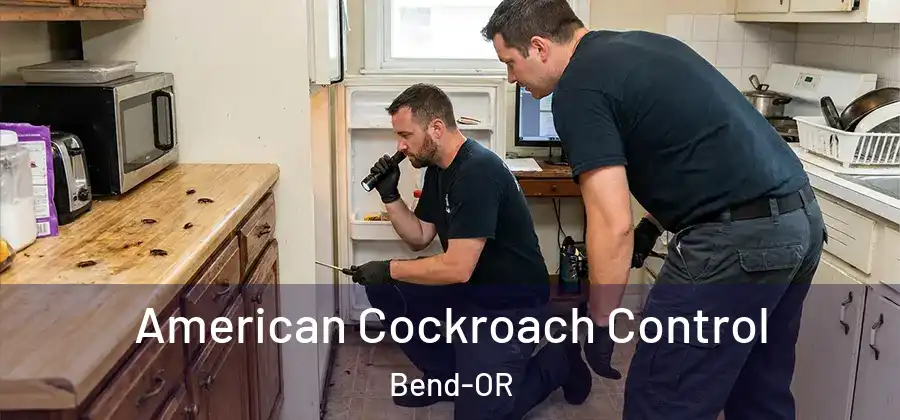  American Cockroach Control Bend-OR