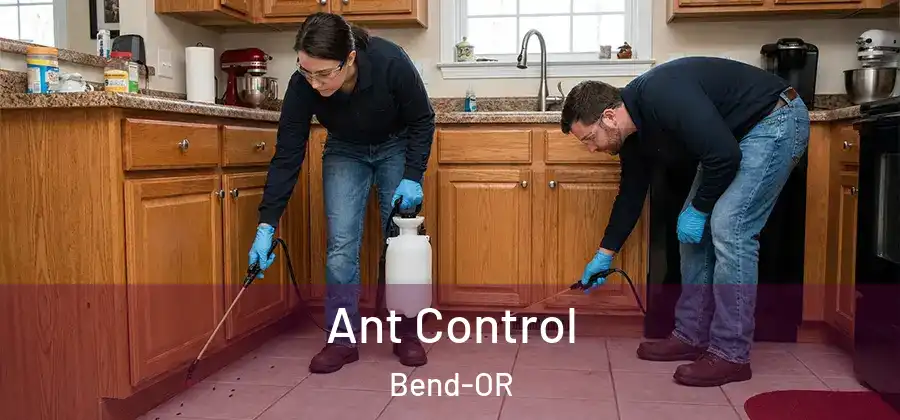  Ant Control Bend-OR