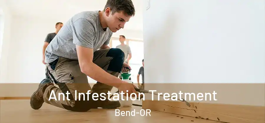 Ant Infestation Treatment Bend-OR