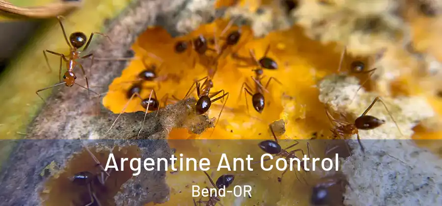  Argentine Ant Control Bend-OR