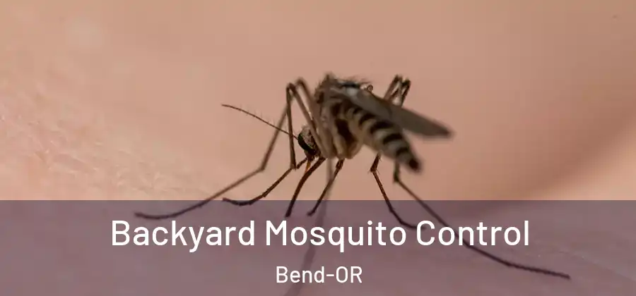  Backyard Mosquito Control Bend-OR