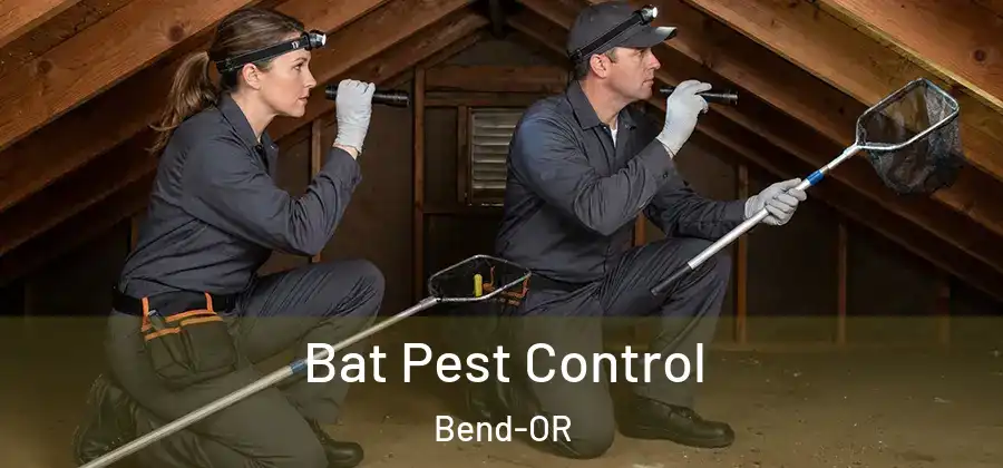  Bat Pest Control Bend-OR