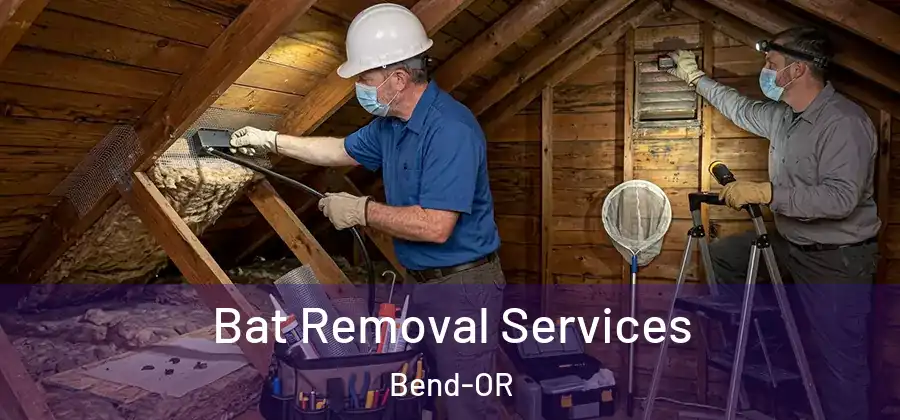  Bat Removal Services Bend-OR