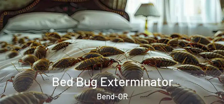  Bed Bug Exterminator Bend-OR