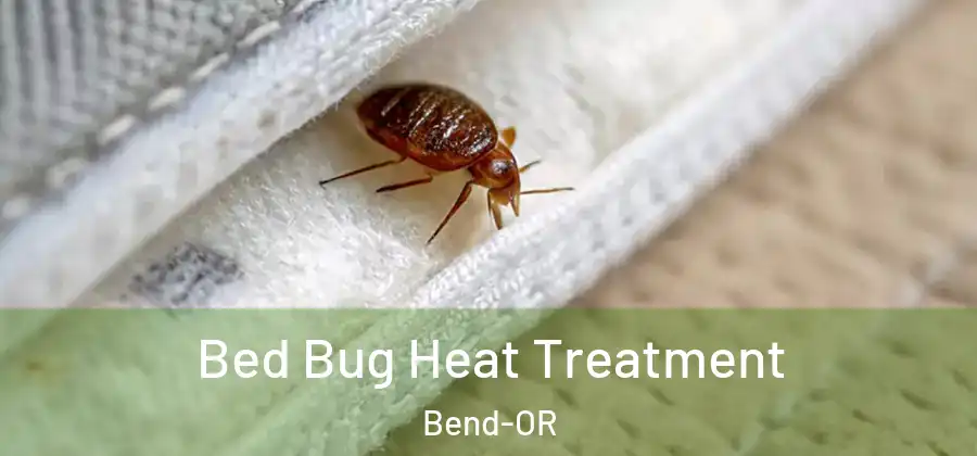  Bed Bug Heat Treatment Bend-OR