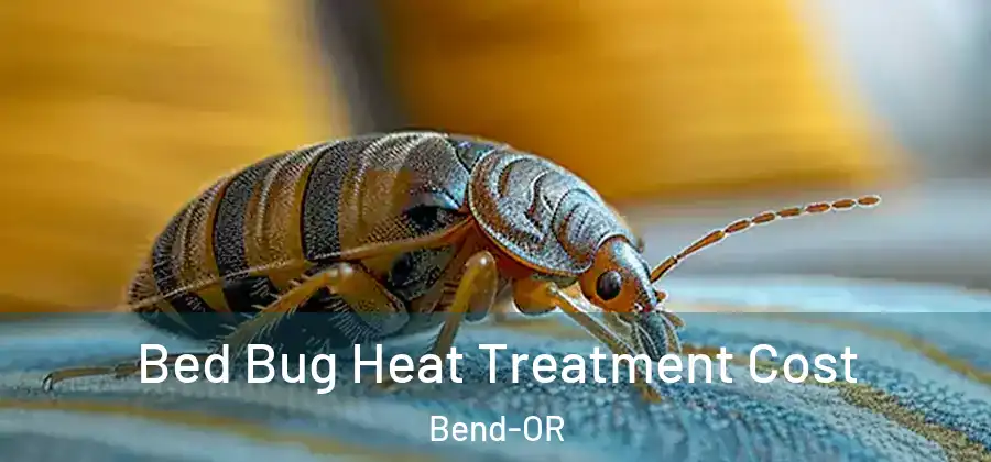  Bed Bug Heat Treatment Cost Bend-OR