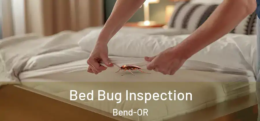  Bed Bug Inspection Bend-OR