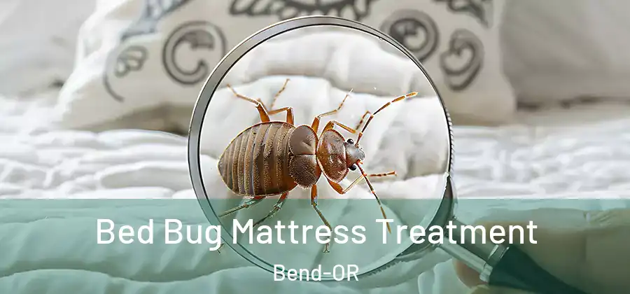  Bed Bug Mattress Treatment Bend-OR