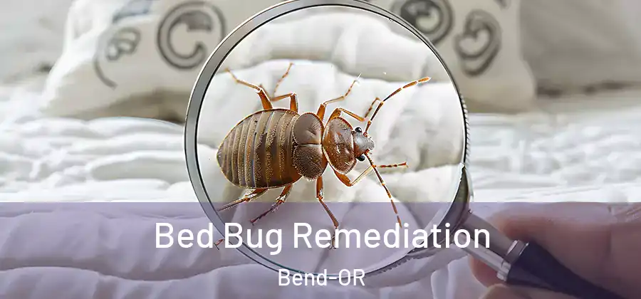  Bed Bug Remediation Bend-OR