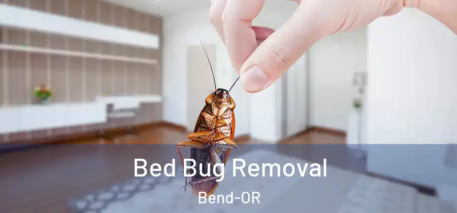  Bed Bug Removal Bend-OR