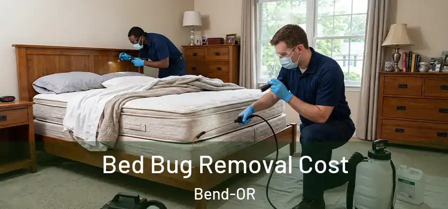  Bed Bug Removal Cost Bend-OR