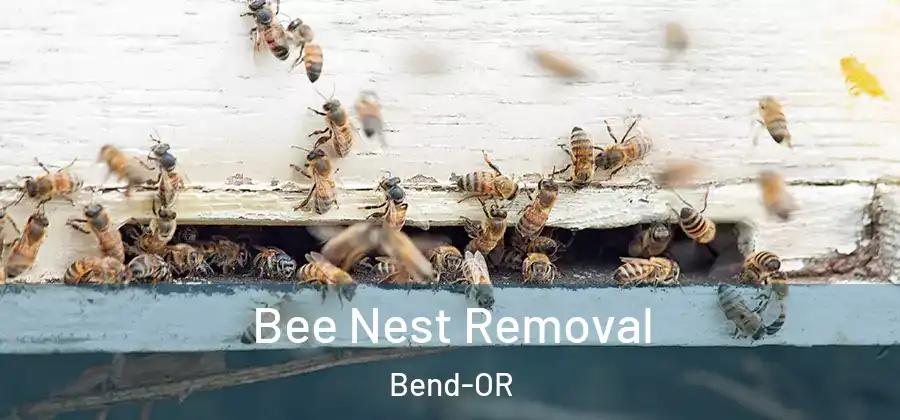 Bee Nest Removal Bend-OR