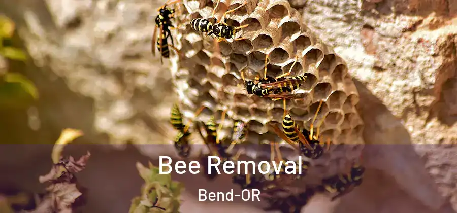  Bee Removal Bend-OR