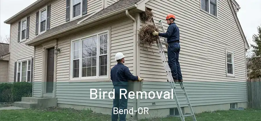 Bird Removal Bend-OR