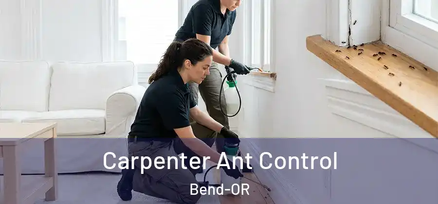  Carpenter Ant Control Bend-OR