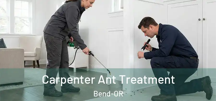  Carpenter Ant Treatment Bend-OR
