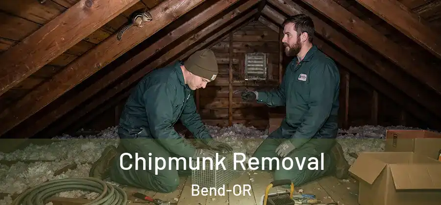  Chipmunk Removal Bend-OR