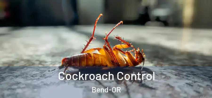  Cockroach Control Bend-OR