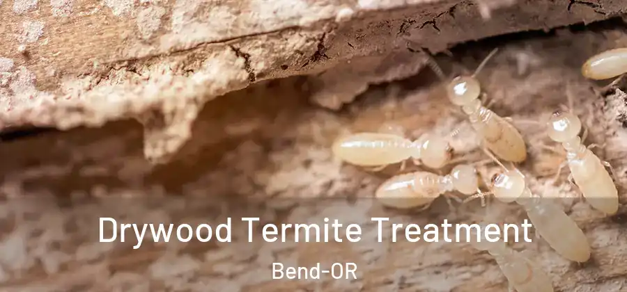  Drywood Termite Treatment Bend-OR