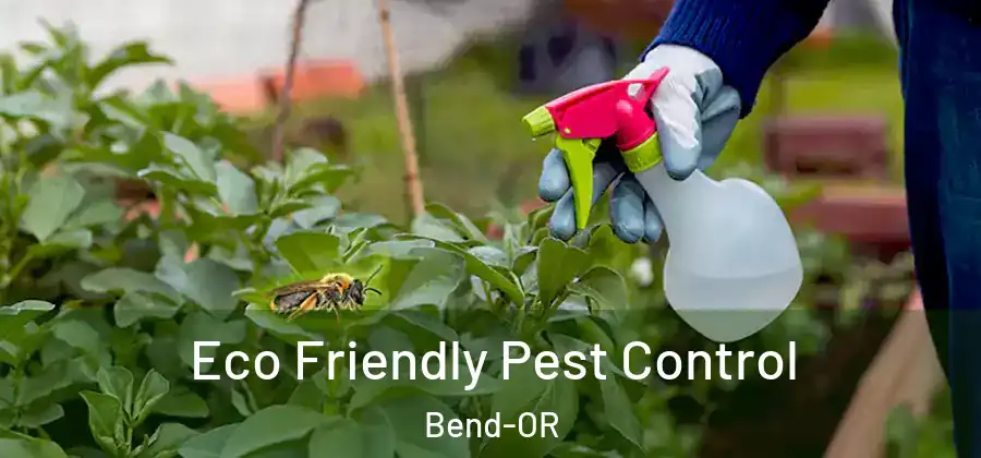  Eco Friendly Pest Control Bend-OR