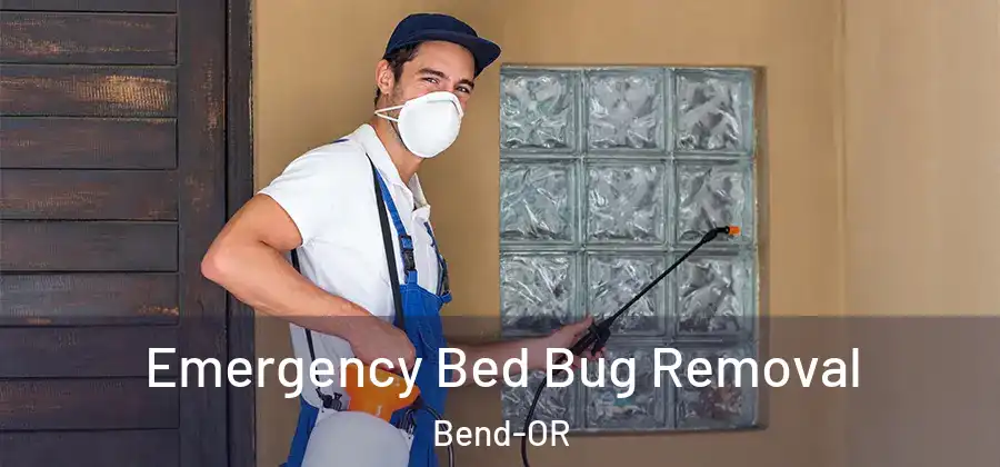  Emergency Bed Bug Removal Bend-OR