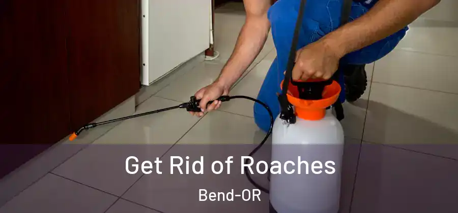  Get Rid of Roaches Bend-OR