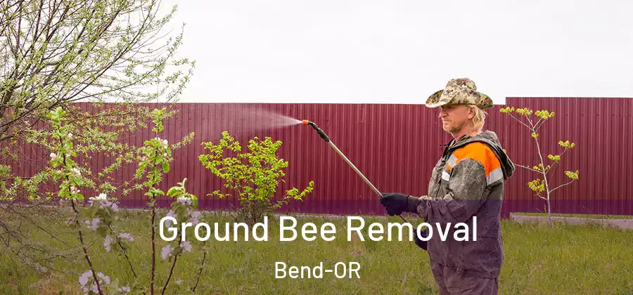  Ground Bee Removal Bend-OR