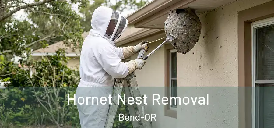  Hornet Nest Removal Bend-OR
