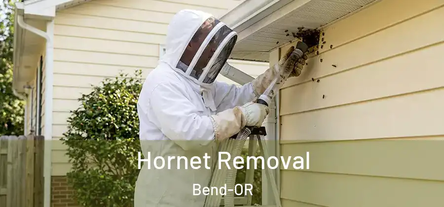  Hornet Removal Bend-OR