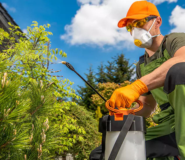 Your Best Bug Spray for Home Team in Bend, OR