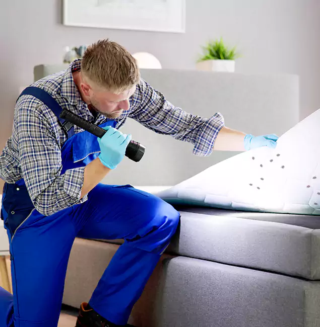 Why Choose Bend Pest Control Pro For Bed Bug Heat Treatment in Bend, OR?