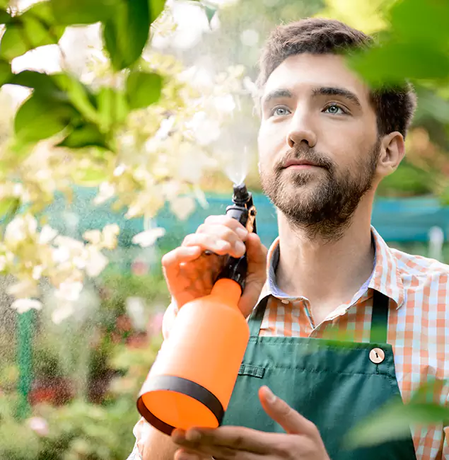 Why Bend Homeowners Call Bend Pest Control Pro for Mosquitoes in House?