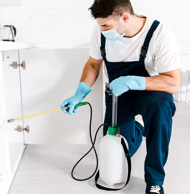 Why Choose Bend Pest Control Pro for Termite Spot Treatment in Bend, OR?
