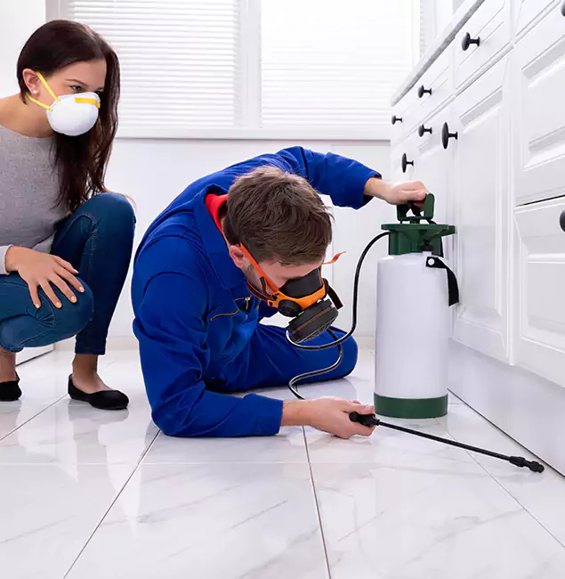 Why Choose Wood Termite Treatment by Bend Pest Control Pro in Bend, OR?