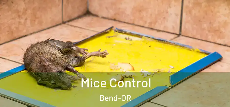  Mice Control Bend-OR