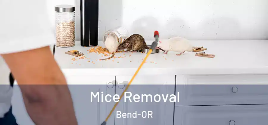  Mice Removal Bend-OR