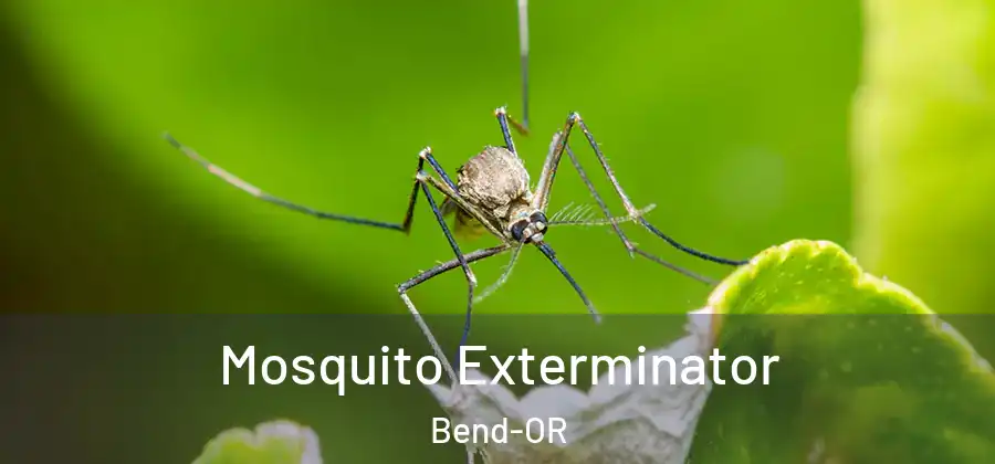  Mosquito Exterminator Bend-OR