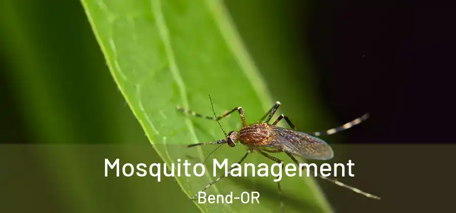  Mosquito Management Bend-OR