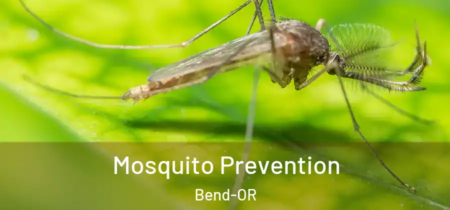 Mosquito Prevention Bend-OR