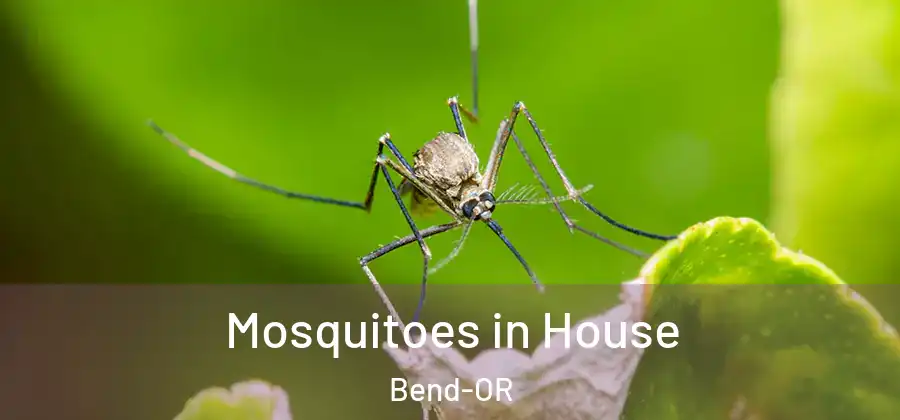 Mosquitoes in House Bend-OR