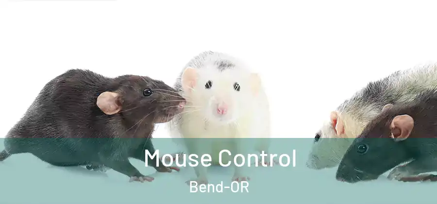  Mouse Control Bend-OR