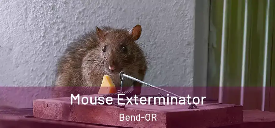  Mouse Exterminator Bend-OR