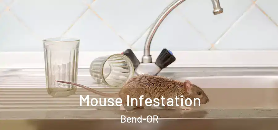  Mouse Infestation Bend-OR