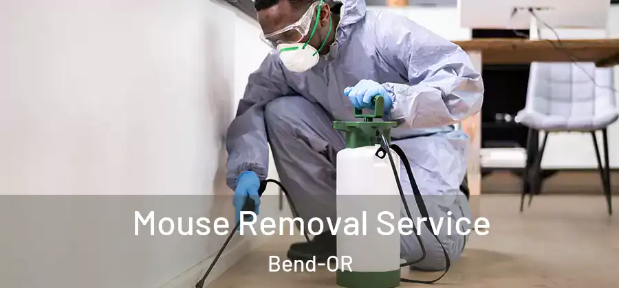  Mouse Removal Service Bend-OR