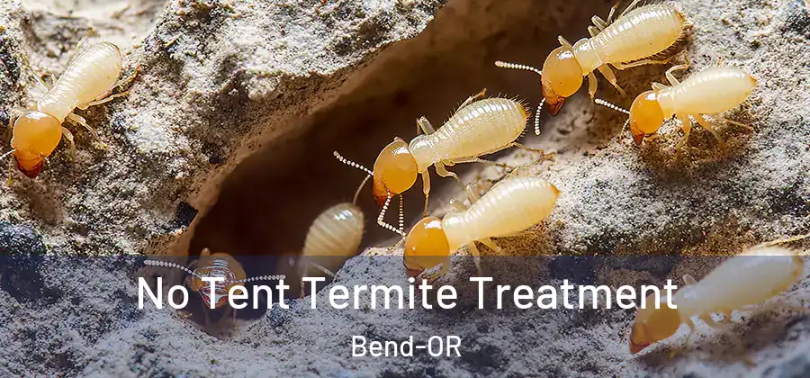No Tent Termite Treatment Bend-OR