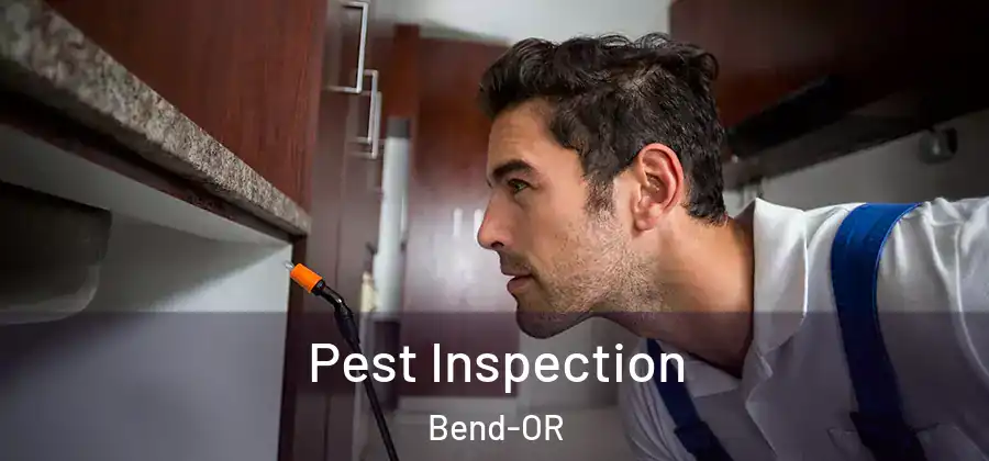  Pest Inspection Bend-OR