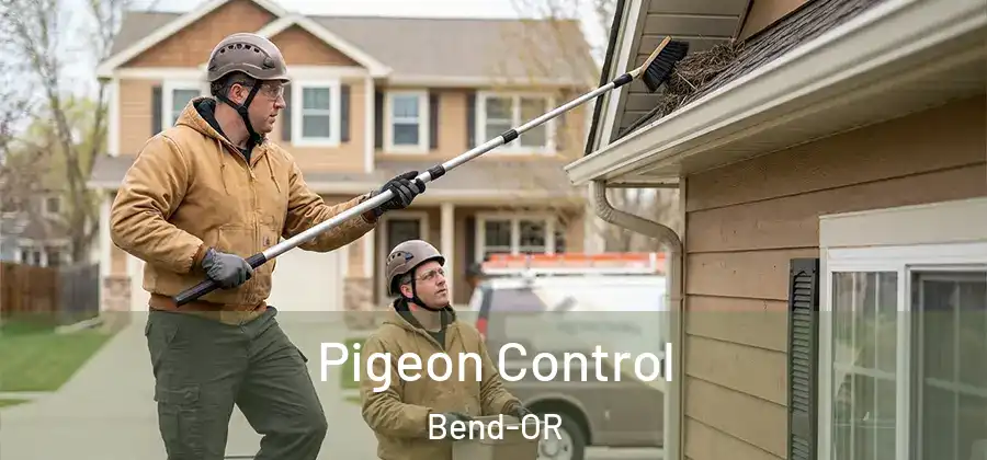  Pigeon Control Bend-OR