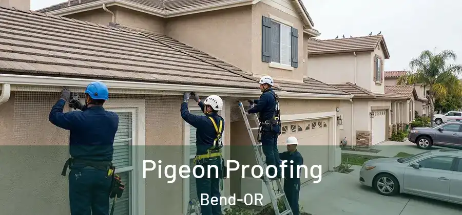  Pigeon Proofing Bend-OR
