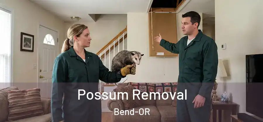  Possum Removal Bend-OR