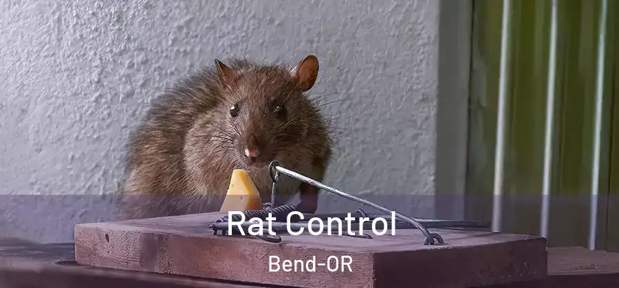 Rat Control Bend-OR